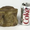 Whale Vertebra - Tiphyocetus temblorensis - Image 2