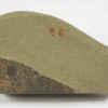 Newly described arthropod - Setapedites - Image 3