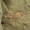 Unknown - Image 2