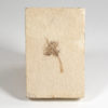 Eocene Flower - Image 2