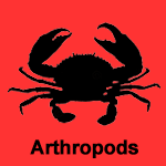 Arthropods