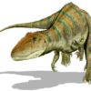 Carcharodontosaurus saharicus, The Natural Canvas