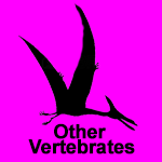 Other Vertebrates