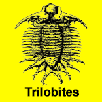 Trilobites