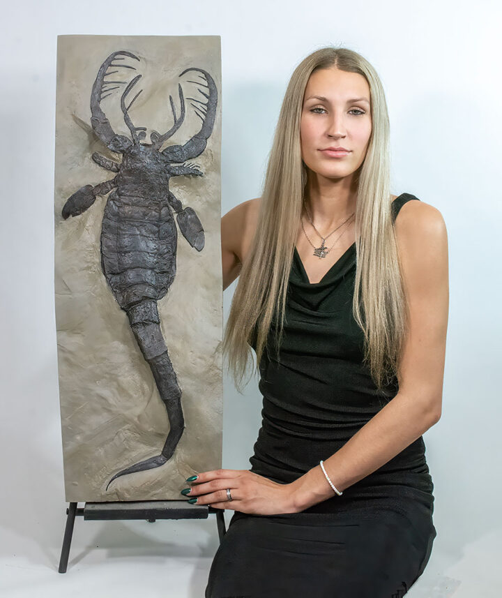 Huge Eurypterid Cast - Mixopterus kiaeri