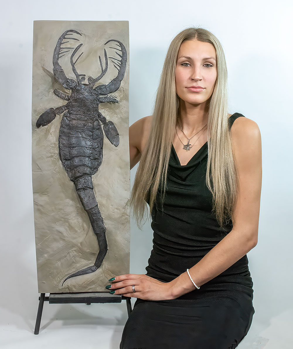 Huge Eurypterid Cast - Mixopterus kiaeri