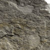 Late Cambrian arthropod &#8211; Australaglaspis, The Natural Canvas