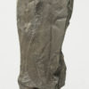 Plumsteadia ampla - Image 2
