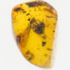 Flower in Amber, The Natural Canvas
