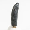 Fully Rooted Phytosaur Tooth - Machaeroprosopus - Image 3