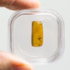 Mosquito in Cretaceous Amber - Image 2