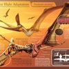 Pterosaur beak &#8211; Alanqua saharica Ibrahim et al. 2010, The Natural Canvas