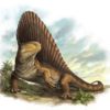 Dimetrodon sp., The Natural Canvas