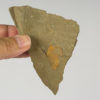 Sponge - Image 2
