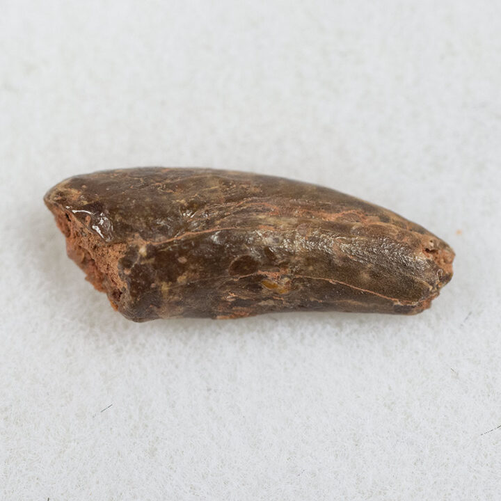 Claw