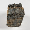 Hyracotherium (Sifrhippus) sp. - Image 2