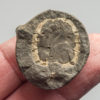 Mitrocystites mitra Barrande, 1887 - Image 2