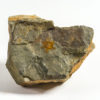 Abnormal 6-armed starfish - Petraster sp. - Image 2