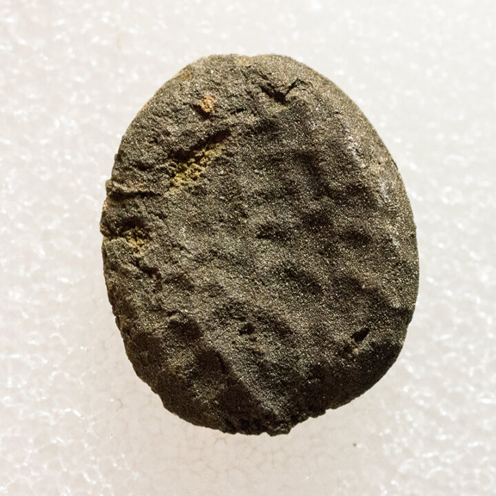 Seed - London Clay