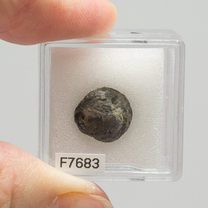 Seed - London Clay
