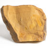 Cambraster tastudorum - Image 2