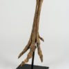Ornithomimus sp. - Image 8