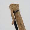 Ornithomimus sp. - Image 4