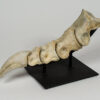 Tarbosaurus bataar - Image 9