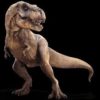 Complete Rooted Tyrannosaurus Tooth - Image 5