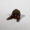 Xenacanthus sp. -- Shark Tooth - Image 2