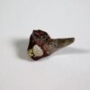 Xenacanthus sp. - Shark Tooth - Image 2