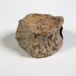 Varanosaurus sp. - Image 2
