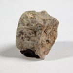 Varanosaurus sp. - Image 3