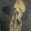 Romerodus sp. - Image 3