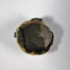 Seed - Image 2