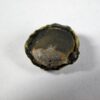 Seed - Image 3