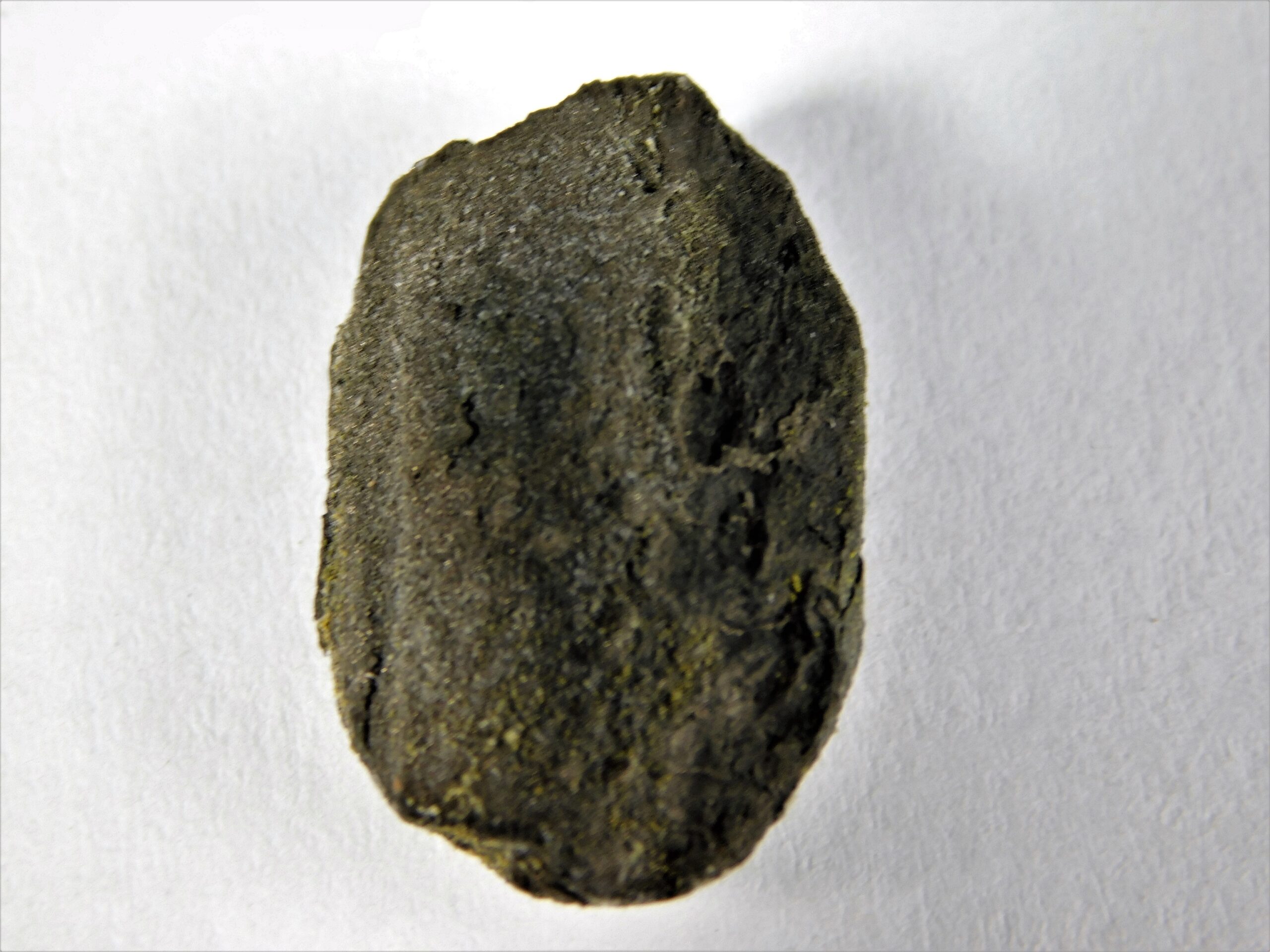 Seed - Image 2