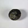 Seed - Image 5