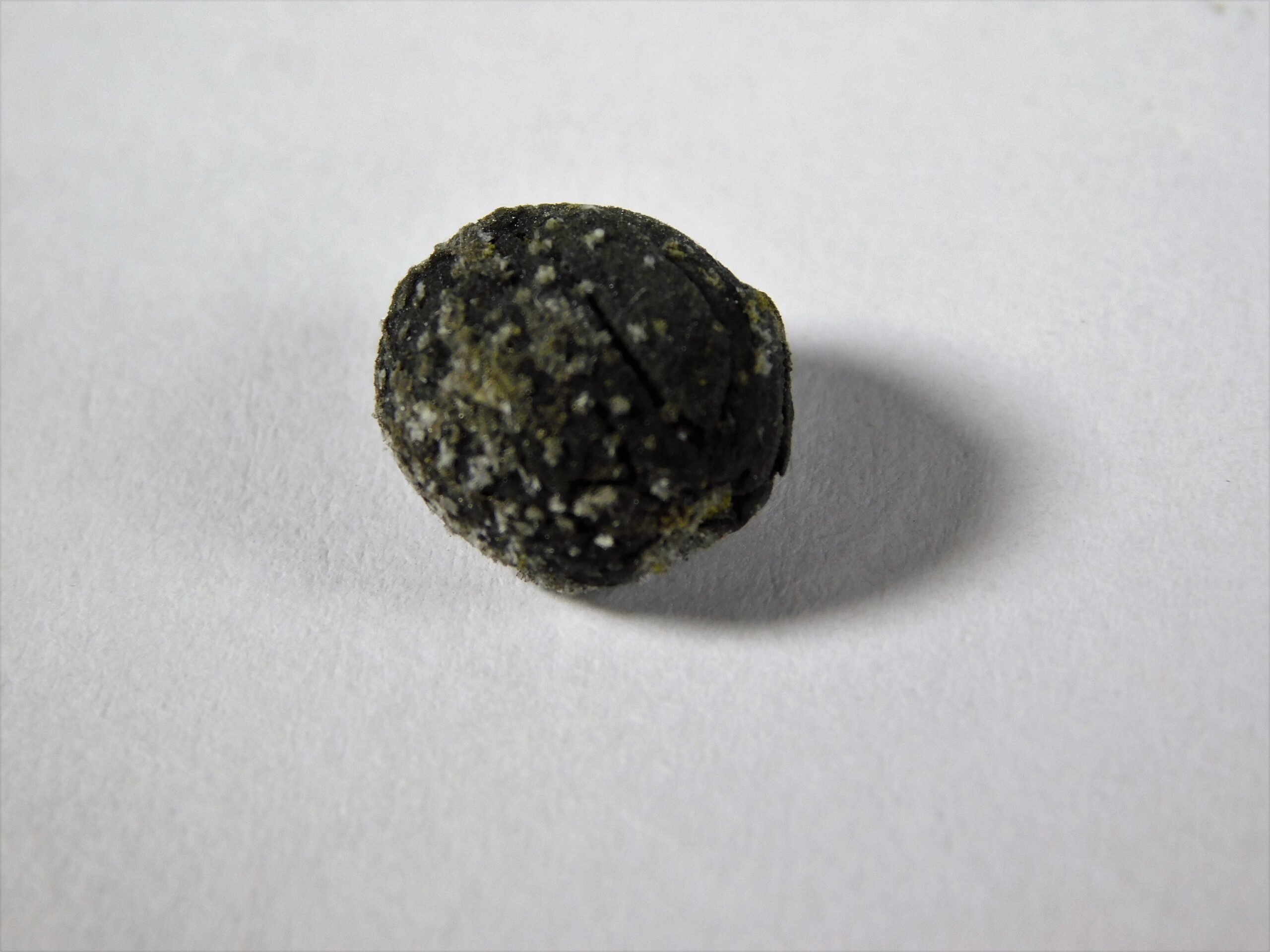 Seed - Image 3