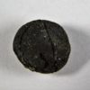 Seed - Image 4