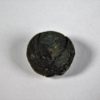 Seed - Image 2