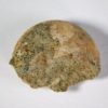 Russian Ammonite Collection - Image 8