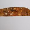 Carcharodontosaurus saharicus - Image 3