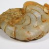 Agatized Miocene nautiloid - Aturia angustata - Image 4