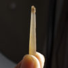 Mollusc replaced with agate - Dentalium sp. - Image 2