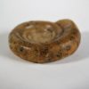 Eothinites kargalensis - Image 3