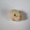 Fibularia cf. ovulum Lamarck 1816 - Image 5