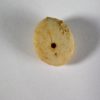 Fibularia cf. ovulum Lamarck 1816 - Image 3