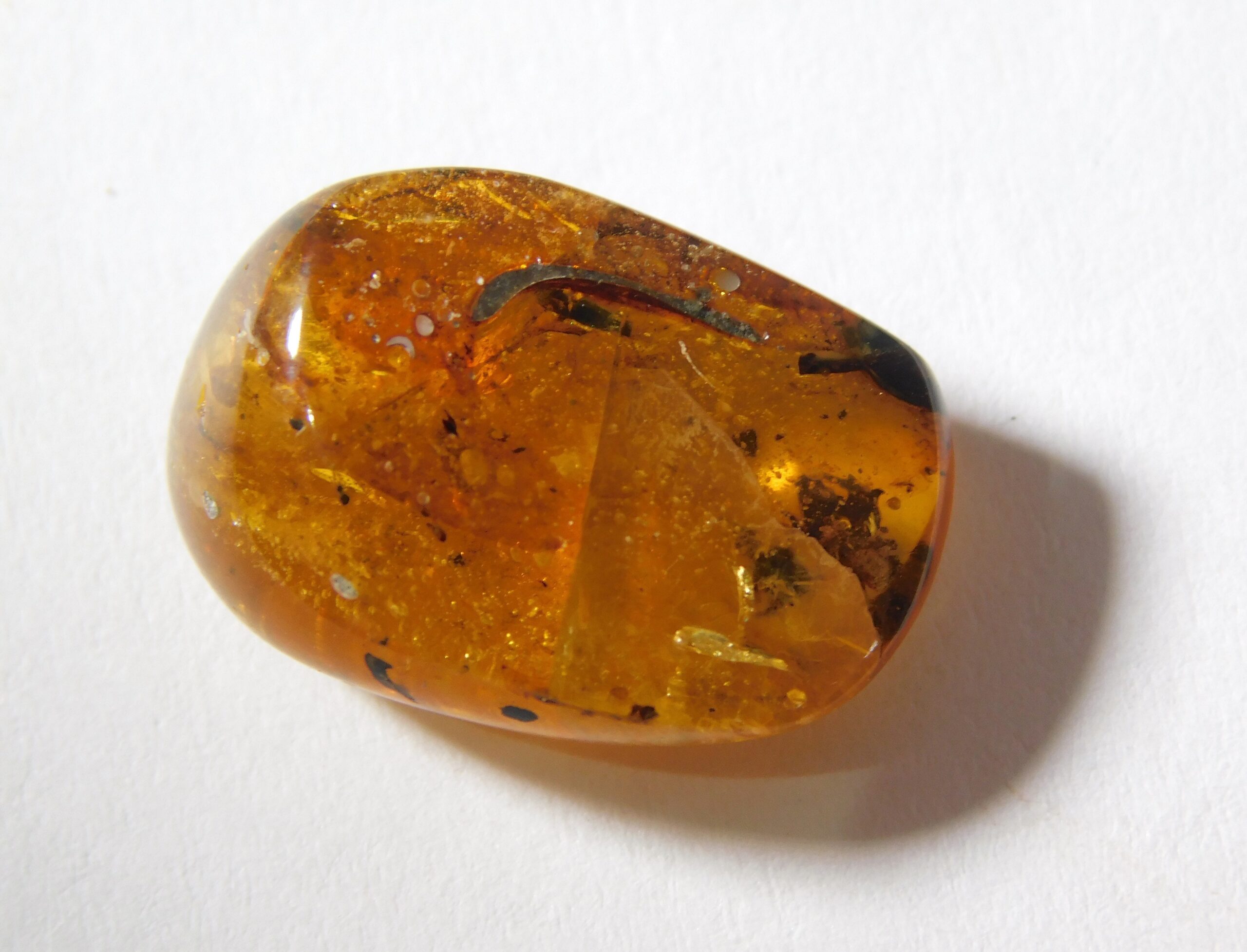 Flower in Cretaceous Amber - Image 3