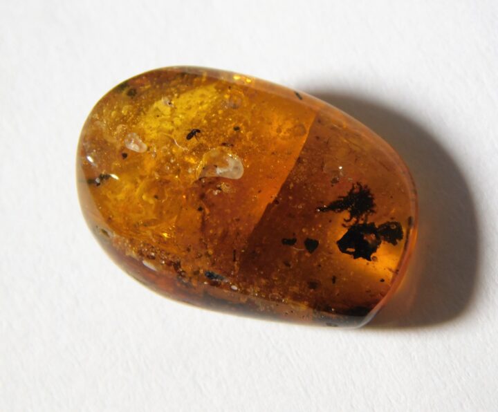 Flower in Cretaceous Amber